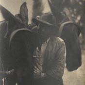 Man with Mules, North Carolina Man with Mules, North Carolina