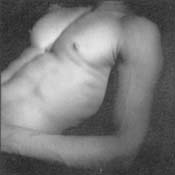 Torso Torso